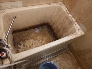 Before image