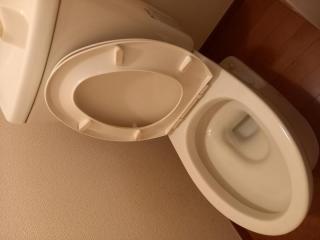 After image