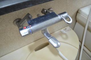 Before image