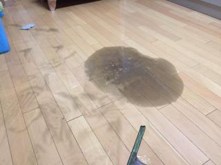 Before image