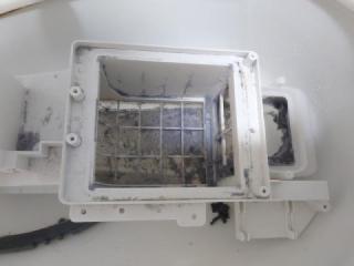 Before image