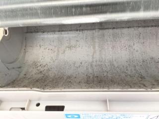 Before image