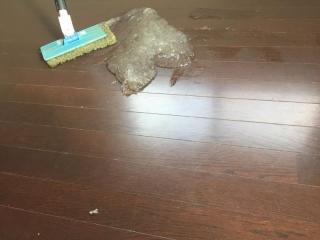 Before image