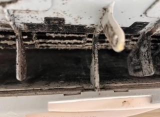 Before image