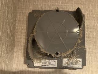 Before image