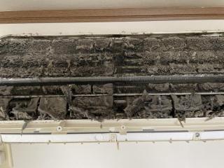 Before image