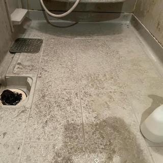 Before image