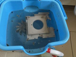 After image