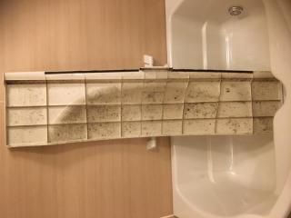 Before image