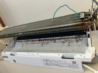Before image