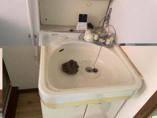 Before image