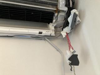 Before image