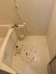 Before image