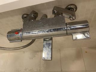 Before image