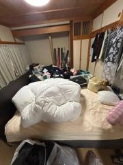 Before image