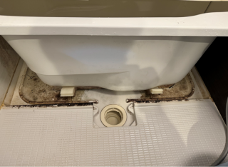 Before image