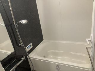 Before image