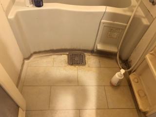 Before image