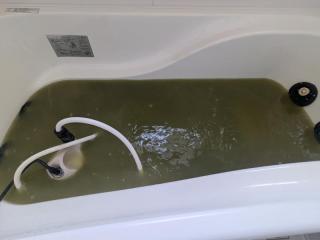 Before image