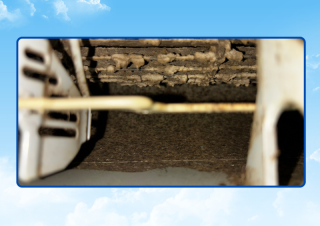 Before image