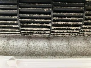 Before image