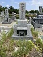 Before image