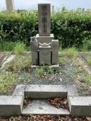 Before image