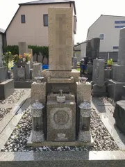 Before image