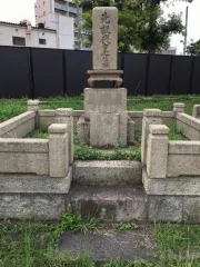 Before image