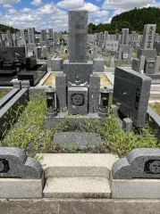 Before image