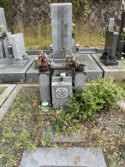 Before image