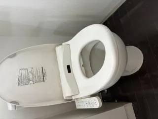 Before image