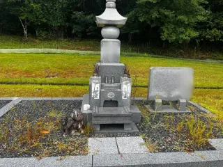 Before image