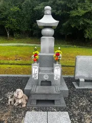 After image