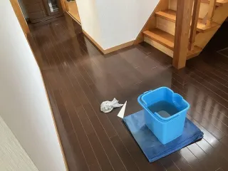 Before image
