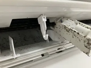 Before image