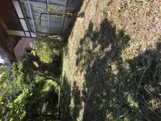 草刈りの作業後