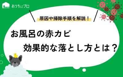 何度も発生するお風呂の赤カビ、最も効果的な落とし方は？