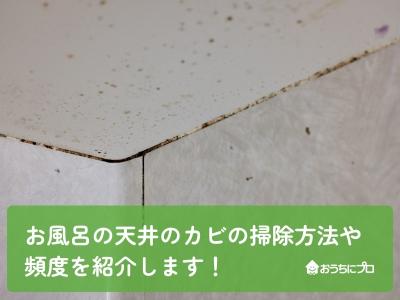 お風呂の天井のカビの掃除方法や頻度を紹介します！