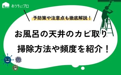 お風呂の天井のカビの掃除方法や頻度を紹介します！