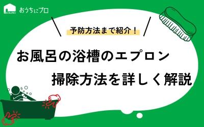 お風呂の浴槽のエプロンを掃除しよう！外し方はかんたん。でもカビ菌はたくさん。