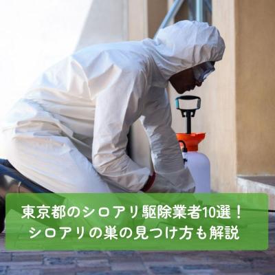 東京都のシロアリ駆除業者10選！シロアリの巣の見つけ方も解説