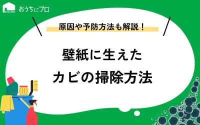 壁紙に生えたカビの掃除方法！原因や放置する危険性、予防方法を解説