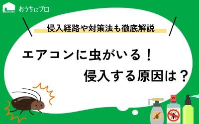 エアコンに虫が侵入する原因は？侵入経路や対策法、掃除方法を解説