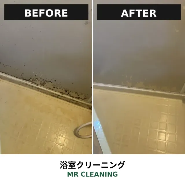 浴室・浴槽を徹底洗浄！お風呂クリーニング