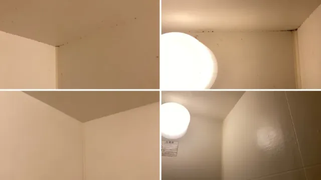 【天井】見落としがちな隅の黒カビまで「徹底根絶」にこだわります！