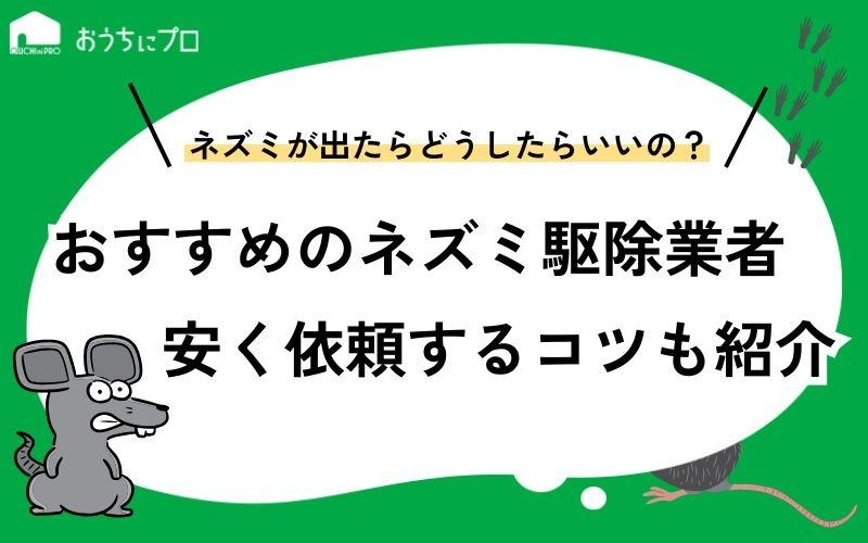 おすすめのネズミ駆除業者は？選び方や料金相場、安く抑えるコツを紹介