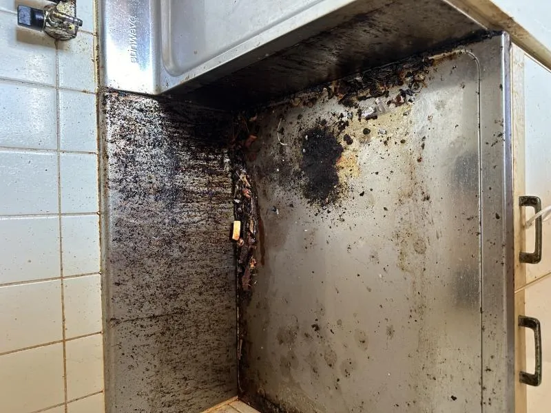 遺品整理特殊清掃LLC津野｜どんな汚れもお任せ下さい！！油、ヤニ、等