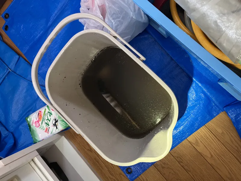 レビュー画像