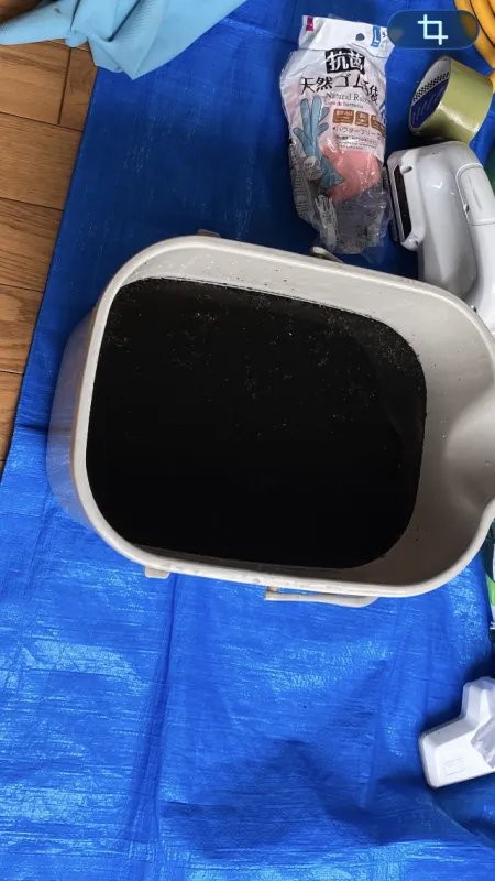 レビュー画像